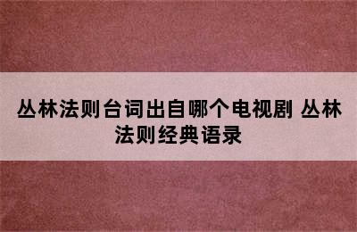 丛林法则台词出自哪个电视剧 丛林法则经典语录